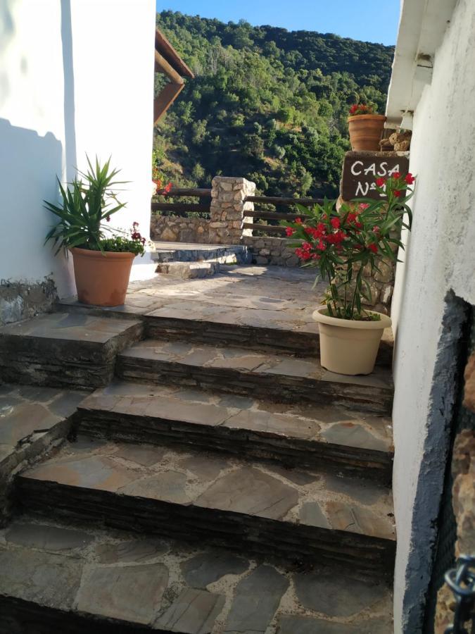 Cortijo La Solana Guest House Guejar-Sierra Bagian luar foto