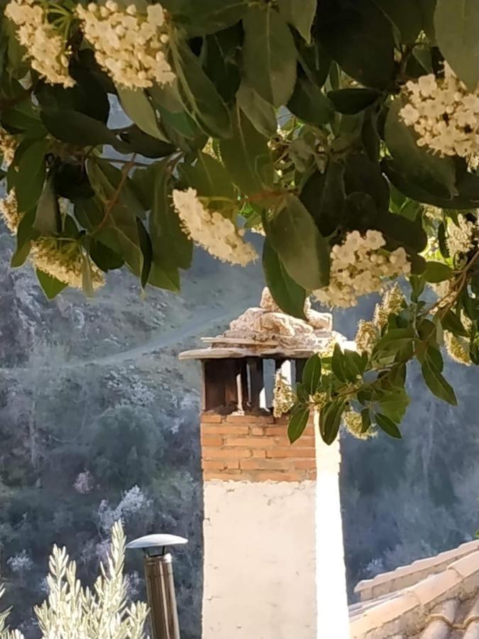 Cortijo La Solana Guest House Guejar-Sierra Bagian luar foto