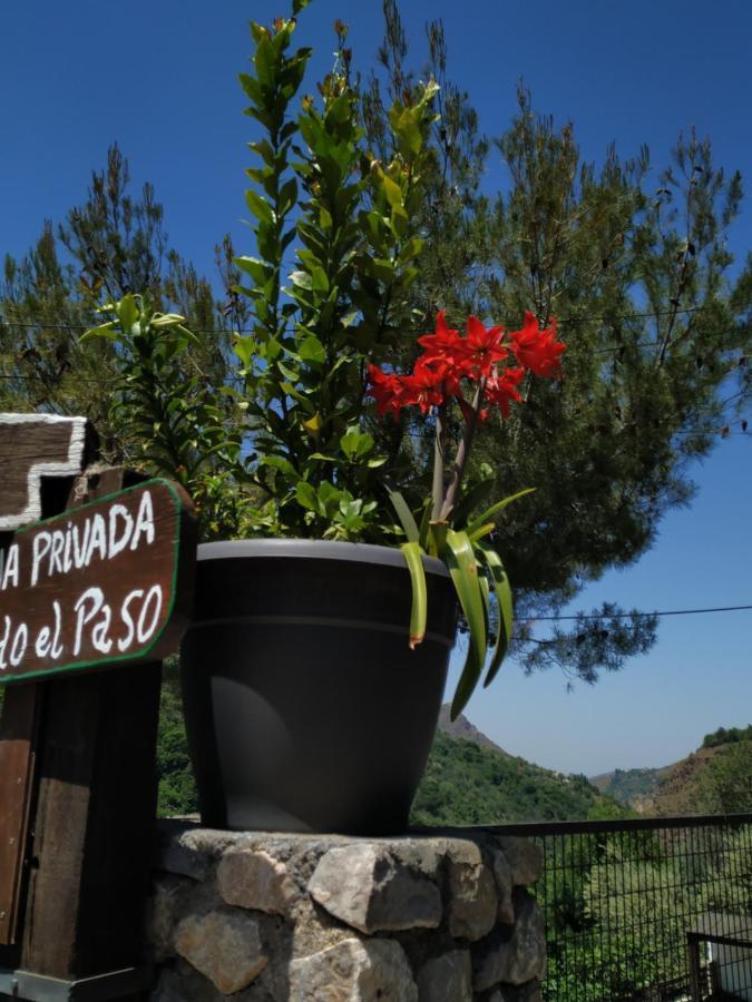 Cortijo La Solana Guest House Guejar-Sierra Bagian luar foto