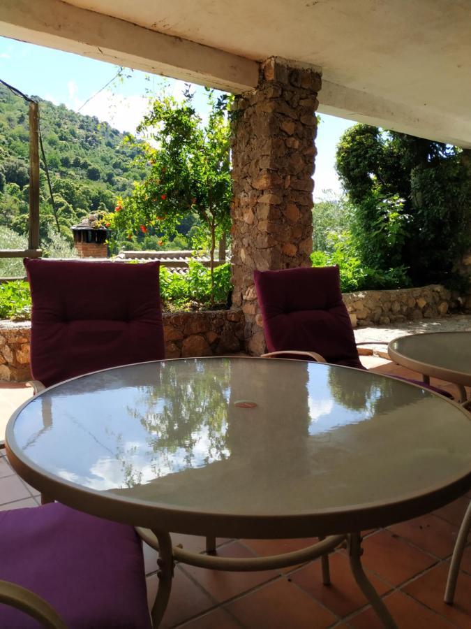 Cortijo La Solana Guest House Guejar-Sierra Bagian luar foto