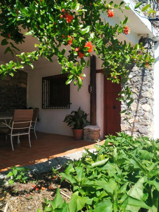 Cortijo La Solana Guest House Guejar-Sierra Bagian luar foto