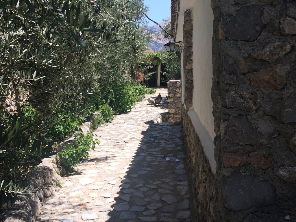 Cortijo La Solana Guest House Guejar-Sierra Bagian luar foto